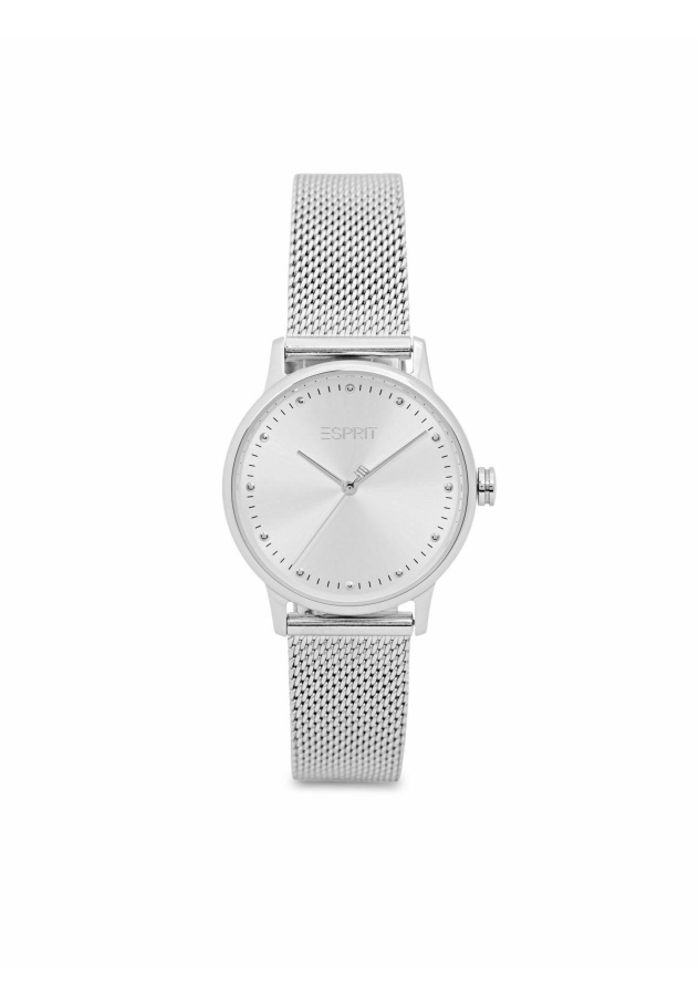 Gabor Bronze-Trainer