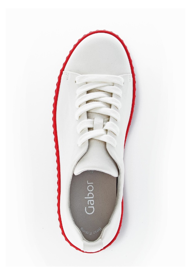 Trainer Gabor Laterosso