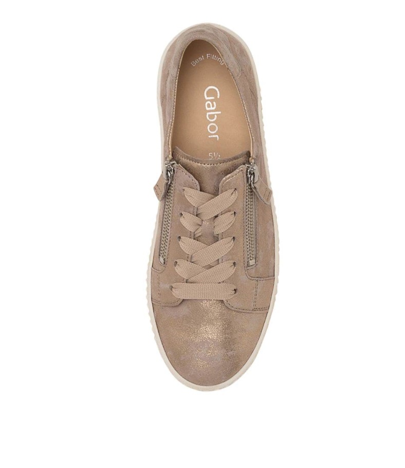 Gabor Amelia Muschel