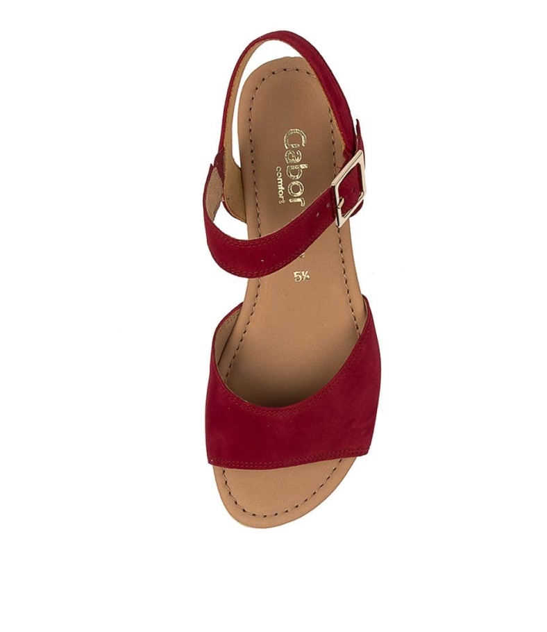 Gabor Fara Rubin Wildleder