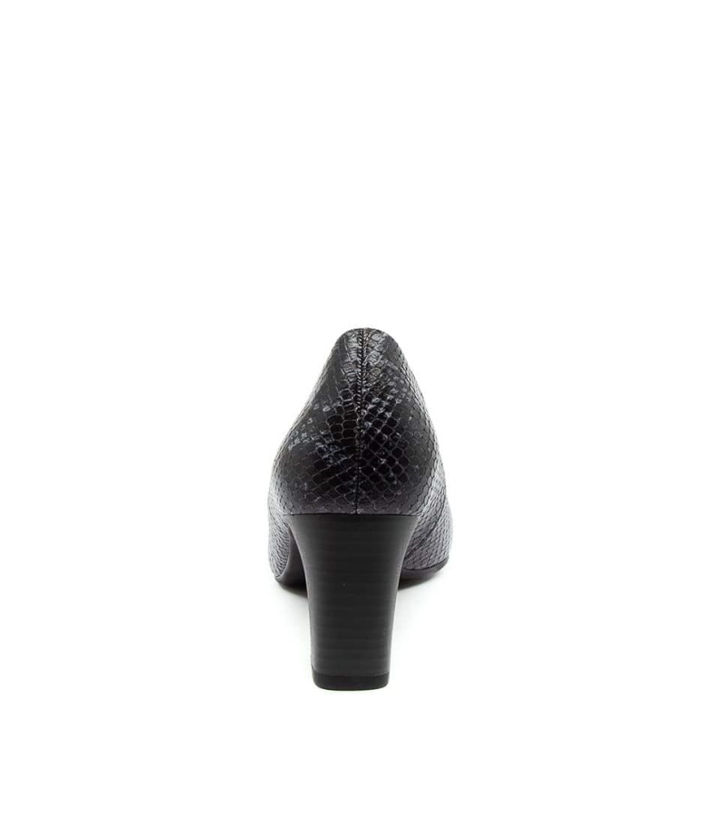 Gabor Scarlett Ozeanschlange